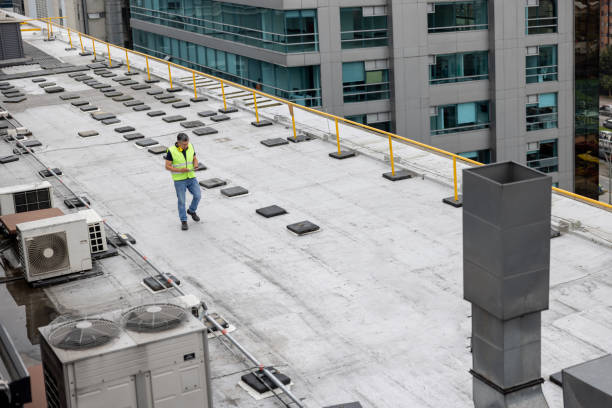 Best Flat Roofing  in Waimanalo, HI