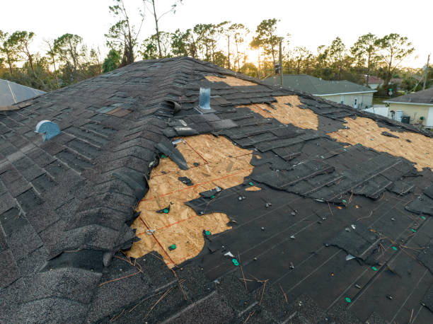 Best Roof Replacement  in Waimanalo, HI