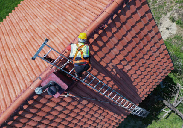 Best Steel Roofing  in Waimanalo, HI
